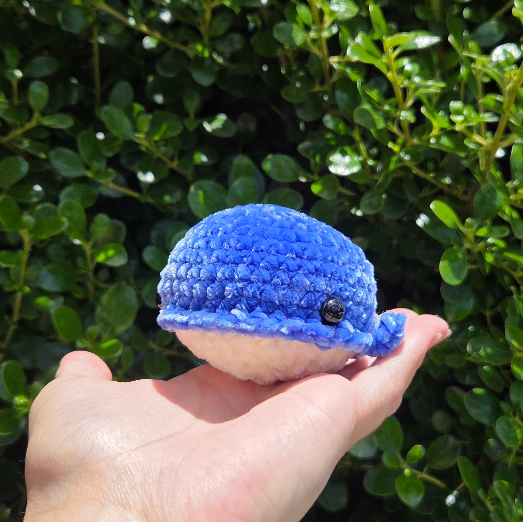 Whale Plushie - Mini