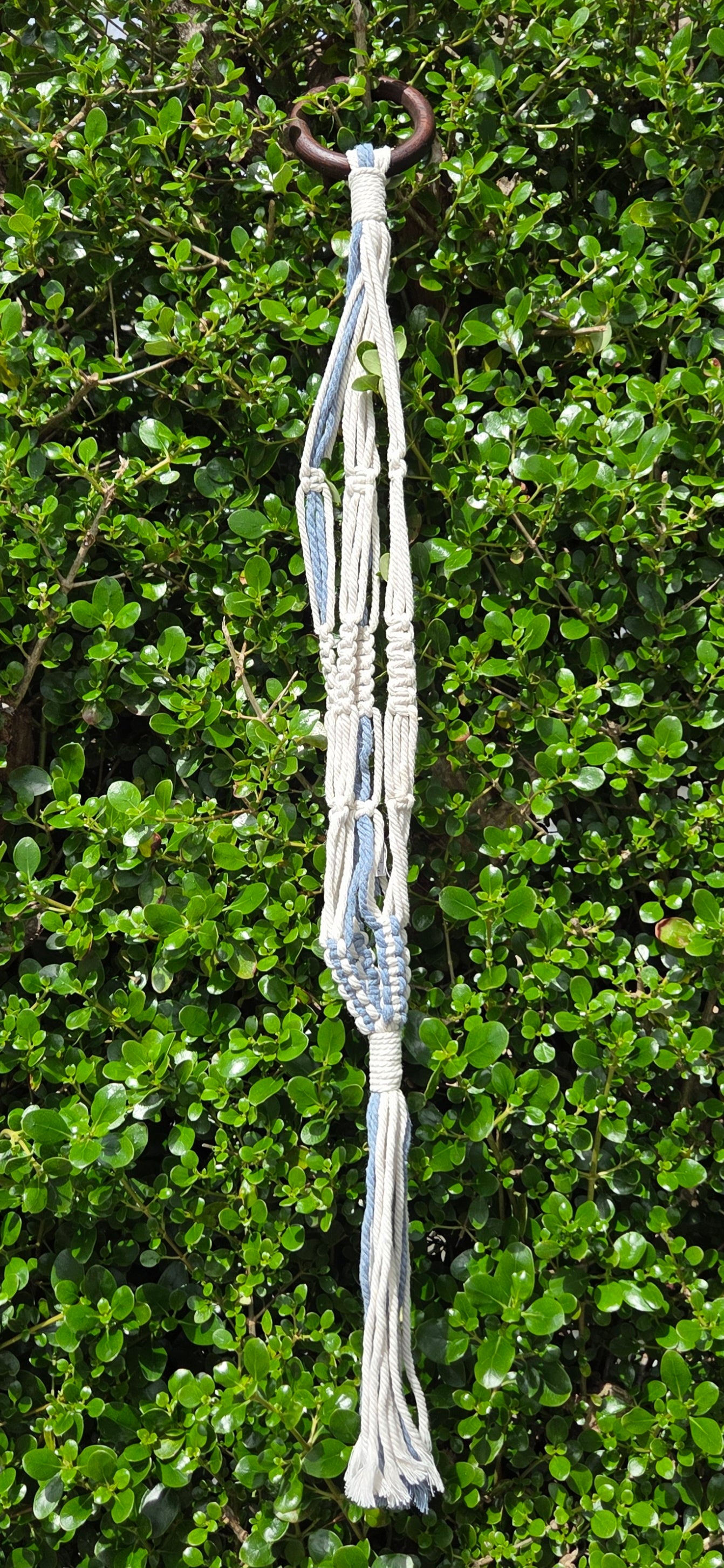 Macramé Plant Hanger- 90cm