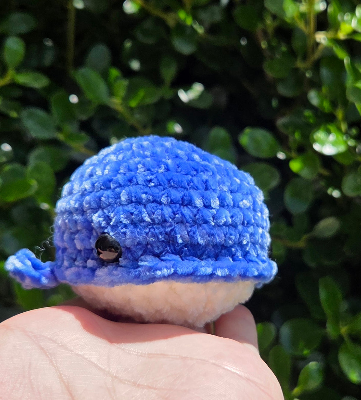 Whale Plushie - Mini