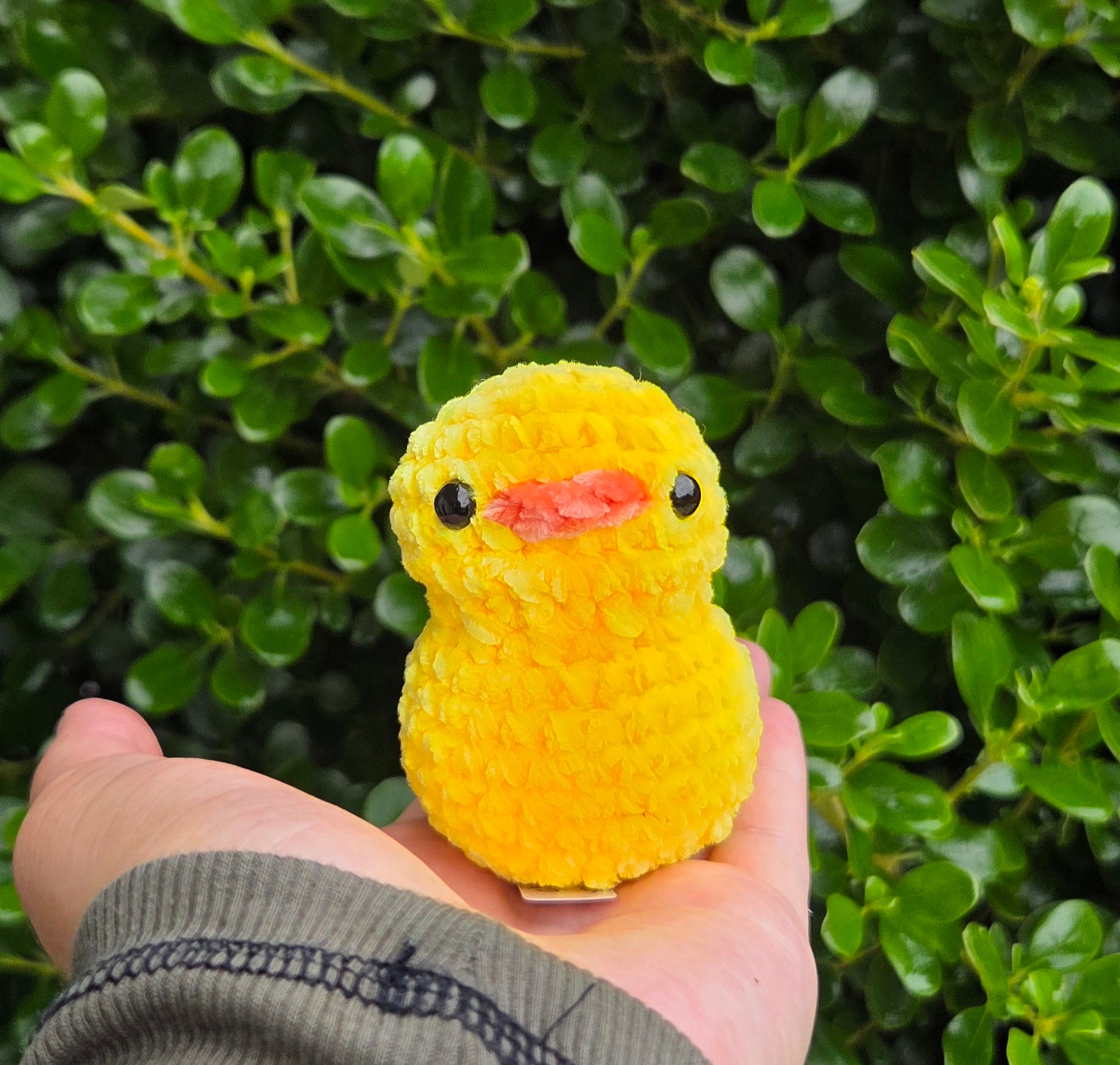 Duck Plushie - Mini