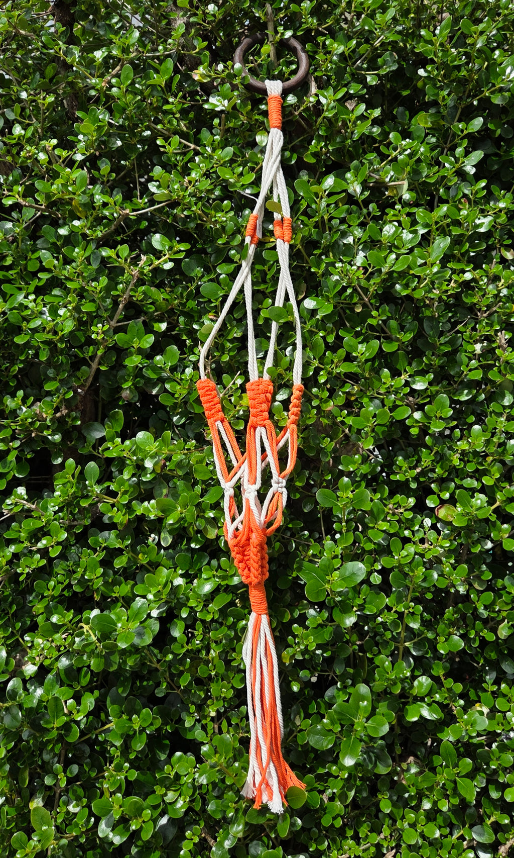 Macramé Plant Hanger- 90cm