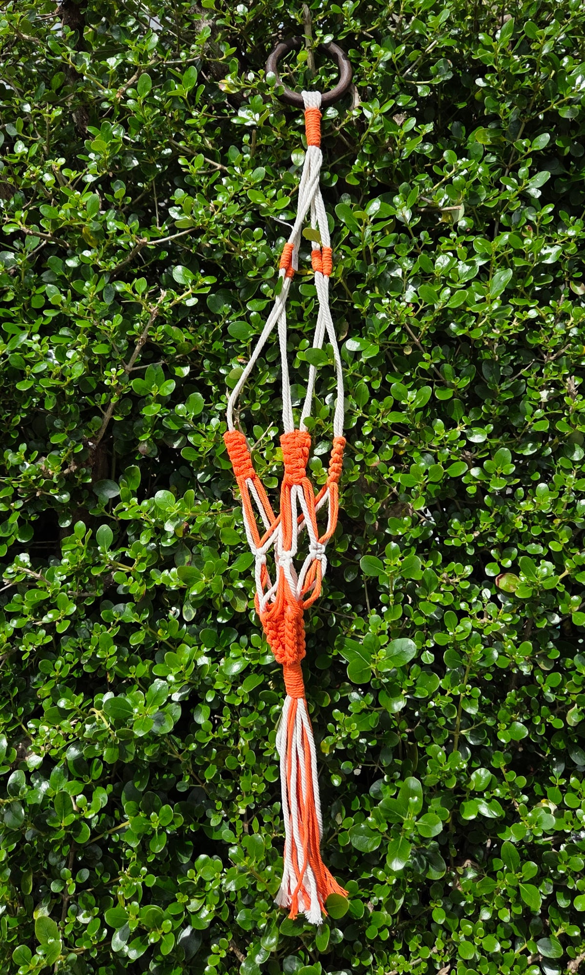 Macramé Plant Hanger- 90cm
