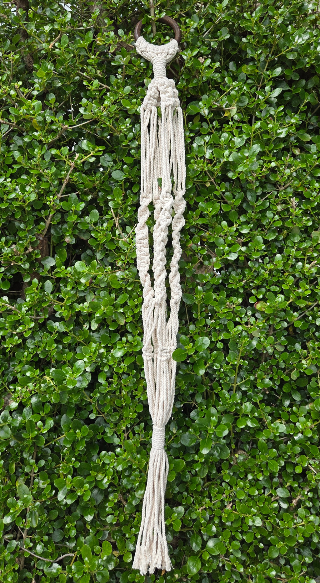 Macramé Plant Hanger - 110cm