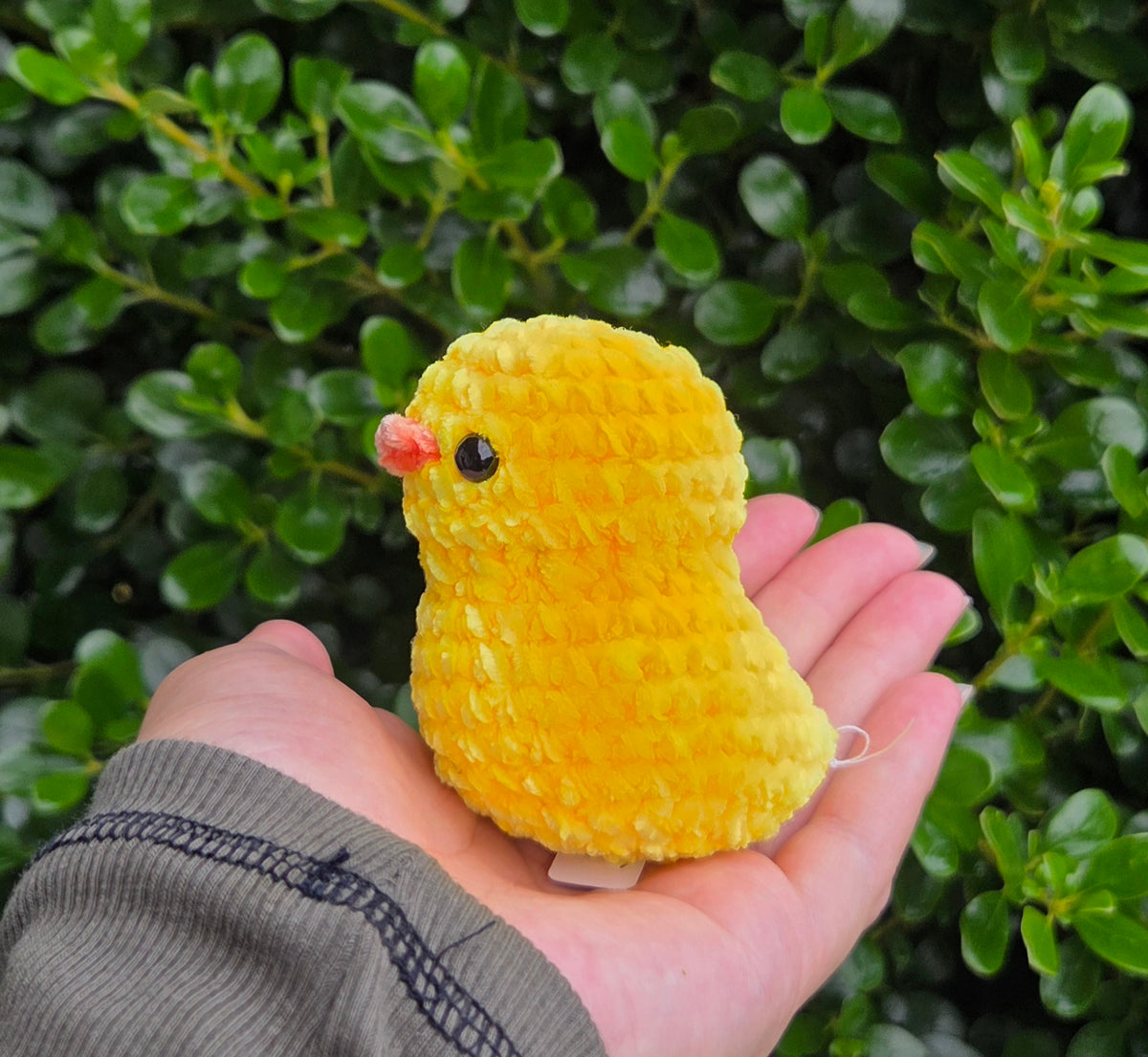 Duck Plushie - Mini